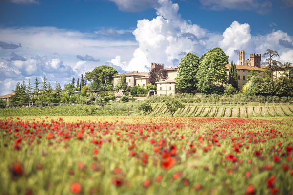 Typical, little village among Tuscany hills. Siena Contryside, Tuscany, Italy