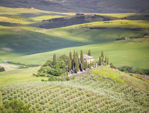 The famous Podere Belvedere under the sunlight, with green hills. Val d'Orcia, Province of Siena, Tuscany, Italy.