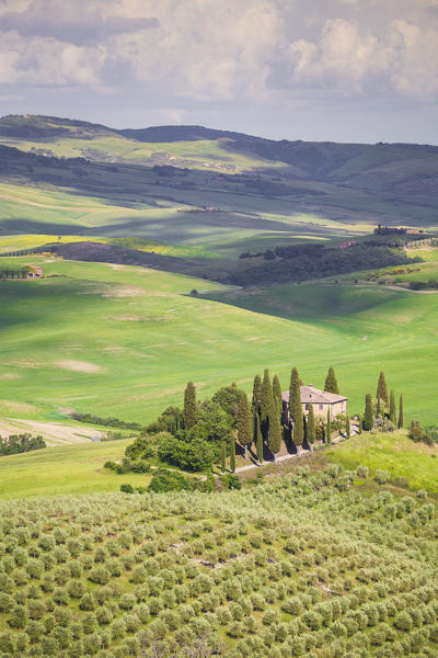 The famous Podere Belvedere under the sunlight, with green hills. Val d'Orcia, Province of Siena, Tuscany, Italy.