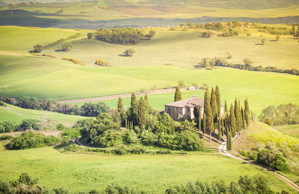 The famous Podere Belvedere under the sunlight, with green hills. Val d'Orcia, Province of Siena, Tuscany, Italy.
