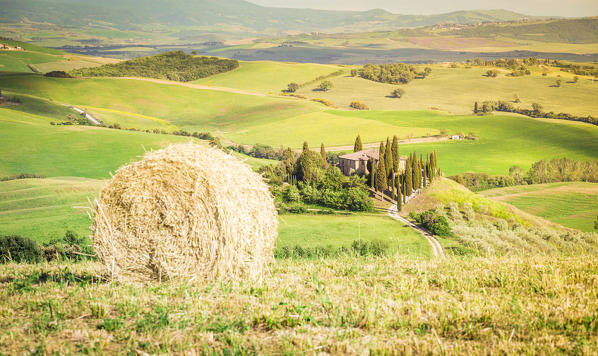 The famous Podere Belvedere under the sunlight, with green hills. Val d'Orcia, Province of Siena, Tuscany, Italy.