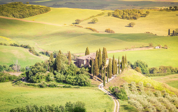 The famous Podere Belvedere under the sunlight, with green hills. Val d'Orcia, Province of Siena, Tuscany, Italy.