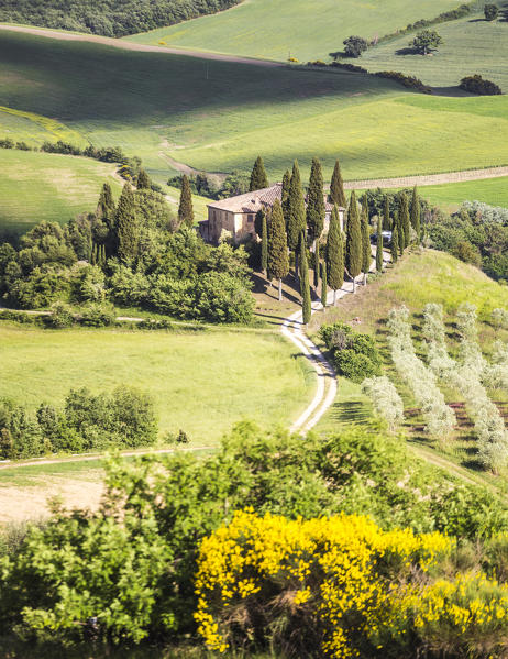 The famous Podere Belvedere under the sunlight, with green hills. Val d'Orcia, Province of Siena, Tuscany, Italy.