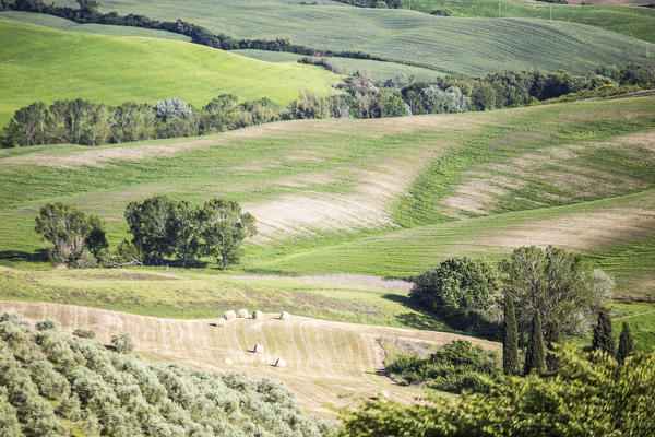 Green hills of Tuscany. Val d'Orcia, Siena province, Tuscany, Italy.