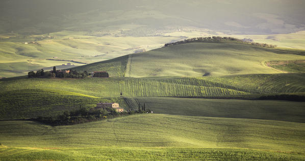 The green hills of Val d'Orcia, Tuscany, Italy