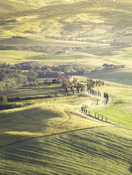 The green hills of Val d'Orcia, Tuscany, Italy