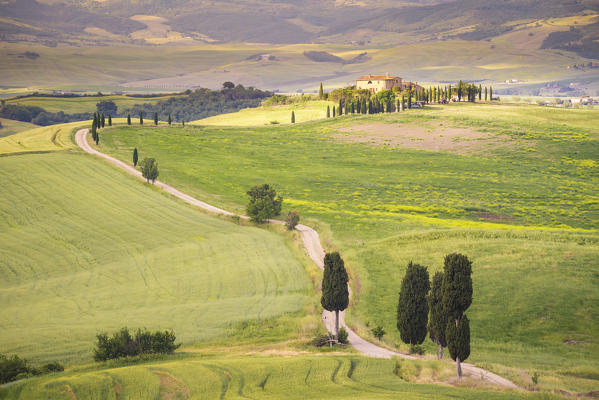 The green hills of Val d'Orcia, Tuscany, Italy