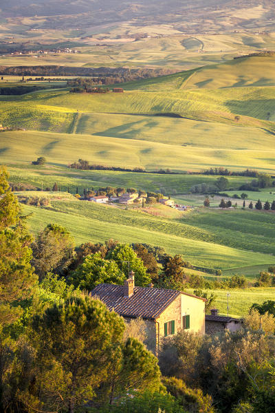 The green hills of Val d'Orcia, Tuscany, Italy