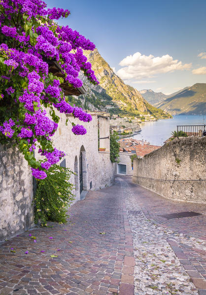 Limone sul Garda, Garda Lake, Brescia Province, Lombardy, Italy