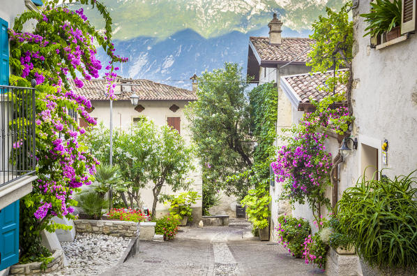 Limone sul Garda, Garda Lake, Brescia Province, Lombardy, Italy