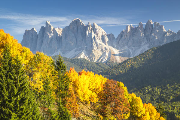 Odle Mountains and colorful trees. Funes Valley, Bolzano Province, Trentino Alto Adige, Italy 