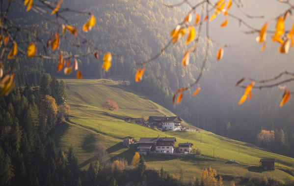 Funes Valley, Bolzano Province, Trentino Alto Adige, Italy 