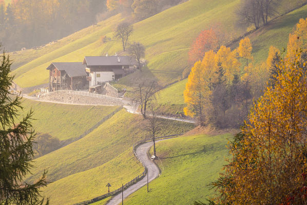 Two typical northern Italy houses surrounded by the colors of autumn in Funes Valley, Bolzano Province, Trentino Alto Adige, Italy.
