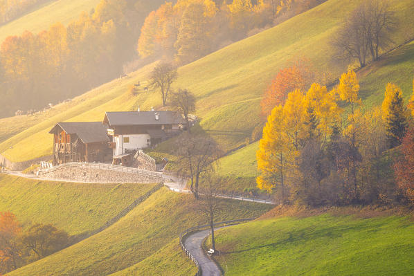 Two typical northern Italy houses surrounded by the colors of autumn in Funes Valley, Bolzano Province, Trentino Alto Adige, Italy.