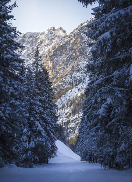 Bolzano province, Dolomiti di Sesto, Italy