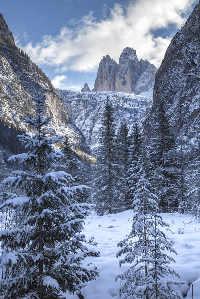 Bolzano province, Dolomiti di Sesto, Italy