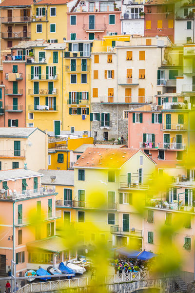 Manarola, Cinque Terre, Ligiuria, Italy