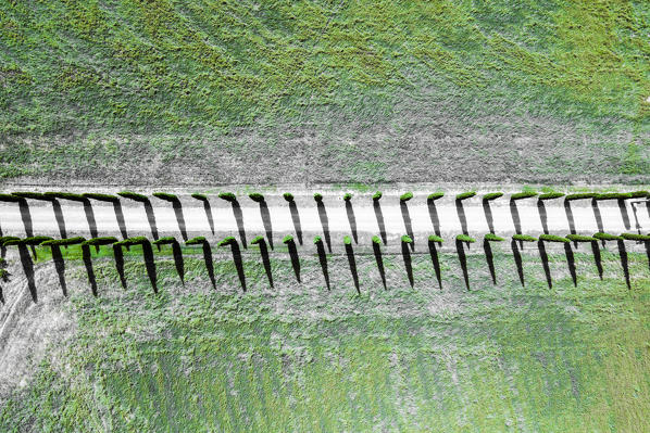 Elevated view of Poggio Covili, Val d'Orcia, Tuscany, Italy