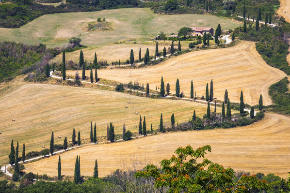 La Foce road, Val d'Orcia, Tuscany, Italy
