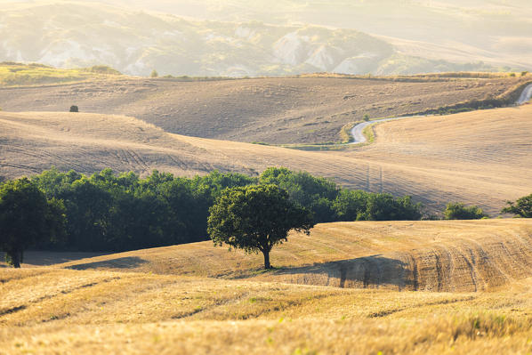 Hills of Val d'Orcia, Tuscany, Italy