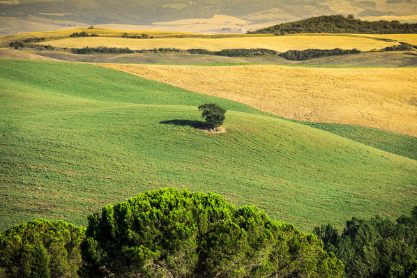 Hills of Val d'Orcia, Tuscany, Italy