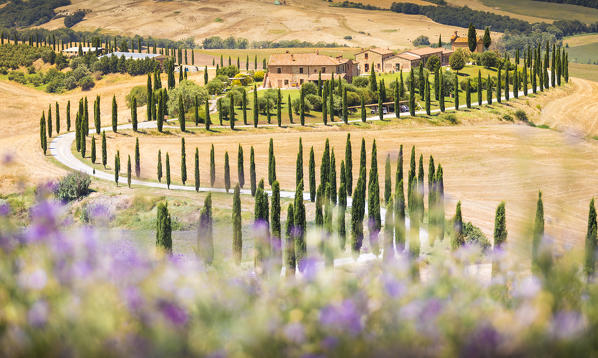 Baccoleno Farmhouse, Val d'Orcia, Tuscany, Italy