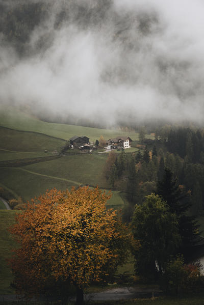 Funes Valley during autumn, Bolzano province, Trentino Alto Adige, Italy