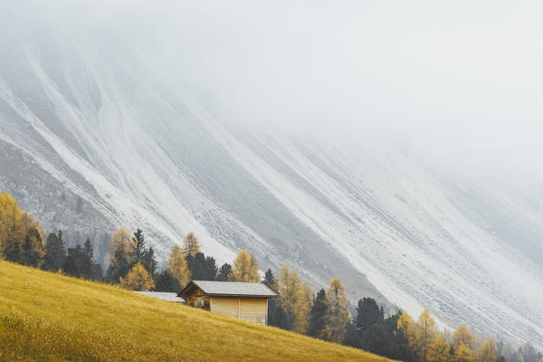 Funes Valley during autumn, Bolzano province, Trentino Alto Adige, Italy