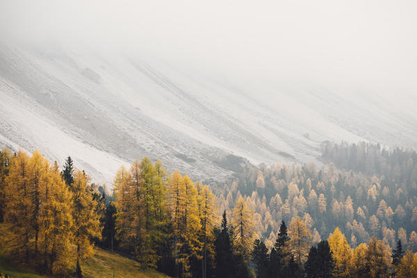 Funes Valley during autumn, Bolzano province, Trentino Alto Adige, Italy