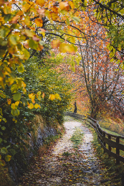 Funes Valley during autumn, Bolzano province, Trentino Alto Adige, Italy