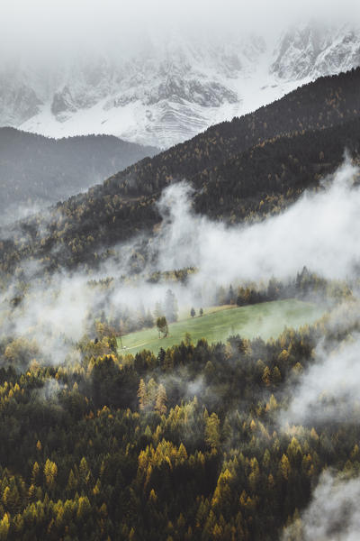 Funes Valley during autumn, Bolzano province, Trentino Alto Adige, Italy
