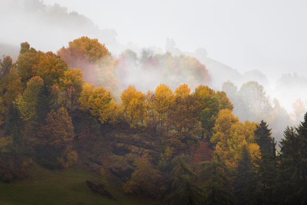 Funes Valley during autumn, Bolzano province, Trentino Alto Adige, Italy