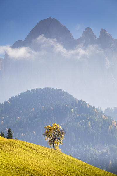 Funes Valley during autumn, Bolzano province, Trentino Alto Adige, Italy