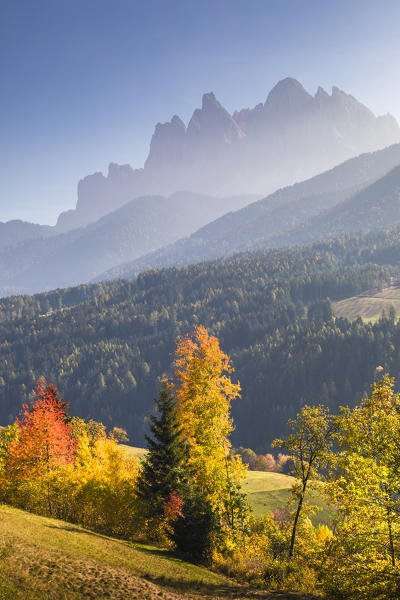 Funes Valley, Bolzano province, Trentino Alto Adige, Italy