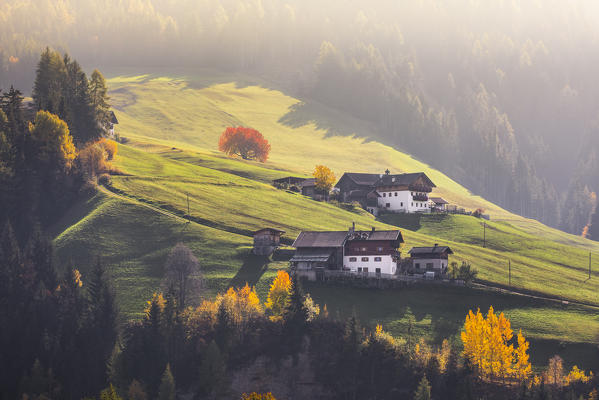 Funes Valley, Bolzano province, Trentino Alto Adige, Italy