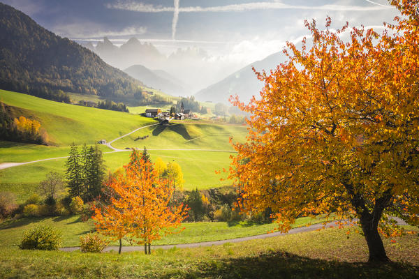 Funes Valley, Bolzano province, Trentino Alto Adige, Italy