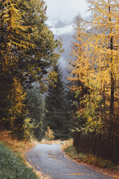 Funes Valley, Bolzano province, Trentino Alto Adige, Italy