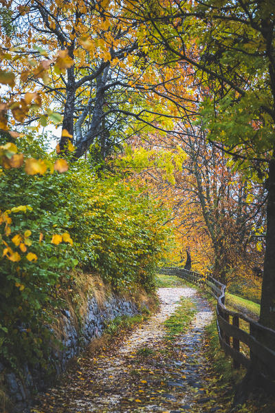 Funes Valley, Bolzano province, Trentino Alto Adige, Italy