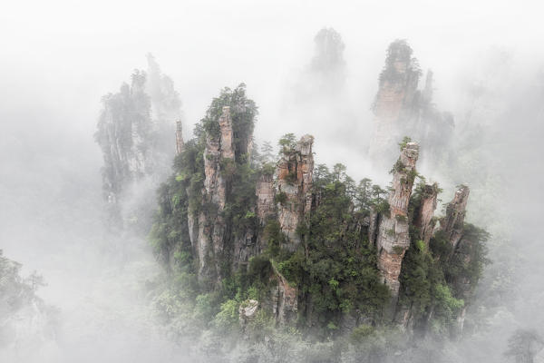 Tianzi mountain in the mist at sunrise, Zhangjiajie national forest park, Hunan, China
