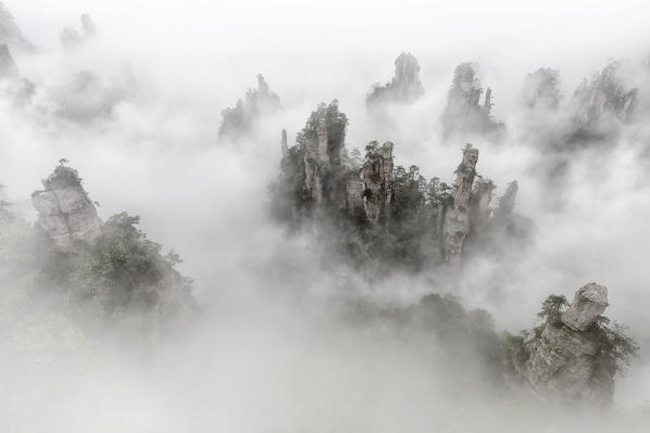 Tianzi mountain in the mist at sunrise, Zhangjiajie national forest park, Hunan, China