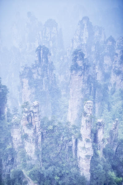 Tianzi mountain in the mist at sunrise, Zhangjiajie national forest park, Hunan, China