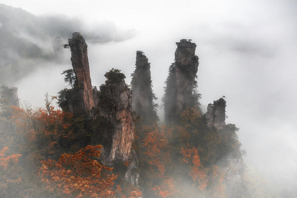 Tianzi mountain in the mist at sunrise, Zhangjiajie national forest park, Hunan, China