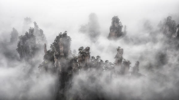 Tianzi mountain in the mist at sunrise, Zhangjiajie national forest park, Hunan, China
