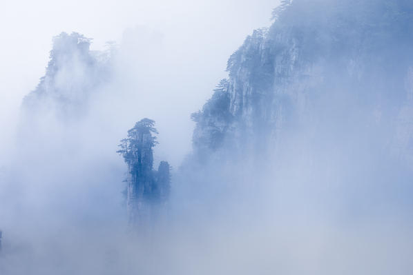 Tianzi mountain in the mist at sunrise, Zhangjiajie national forest park, Hunan, China