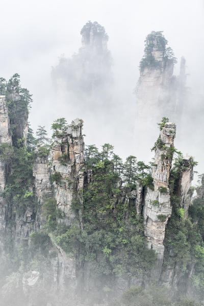 Tianzi mountain in the mist at sunrise, Zhangjiajie national forest park, Hunan, China