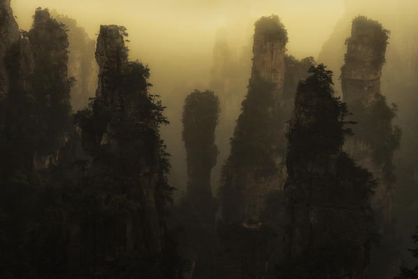 Zhangjiajie national forest park, Zhangjiajie, Hunan, China
