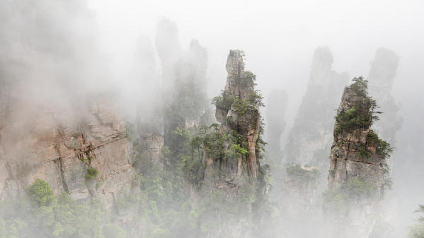 Zhangjiajie national forest park, Zhangjiajie, Hunan, China
