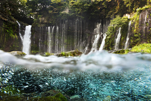 The famous Shiraito falls, located just a few kilometers from Mount Fuji, photographed with underwater case.