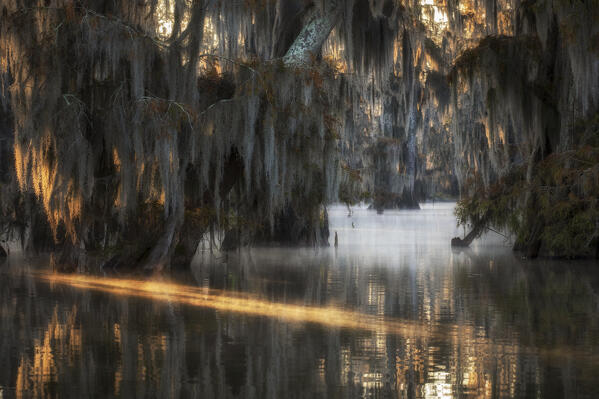Sunrise in Atchafalaya Basin in Autumn, Louisiana
