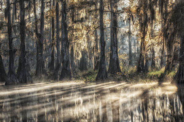 Sunrise in Atchafalaya Basin in Autumn, Louisiana